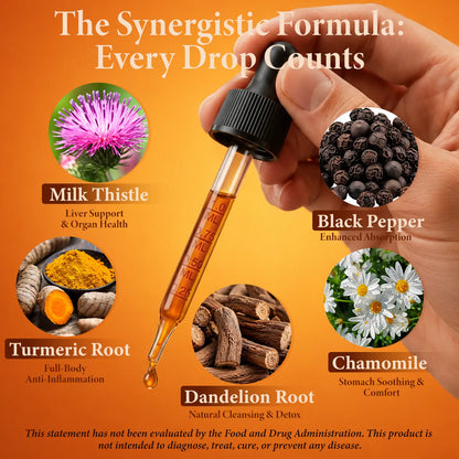 Carehaven Organic Turmeric Curcumin & Milk Thistle Liquid Drops - Prop 65 Safe Liver Aid with Dandelion, Chamomile, Black Pepper, Ginger, Orange Flavor, 2 Fl Oz Single Bottle